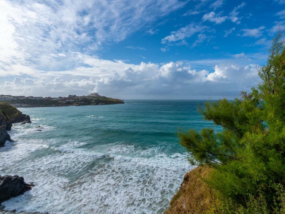 Bambu Cottage New Quay Esterno foto